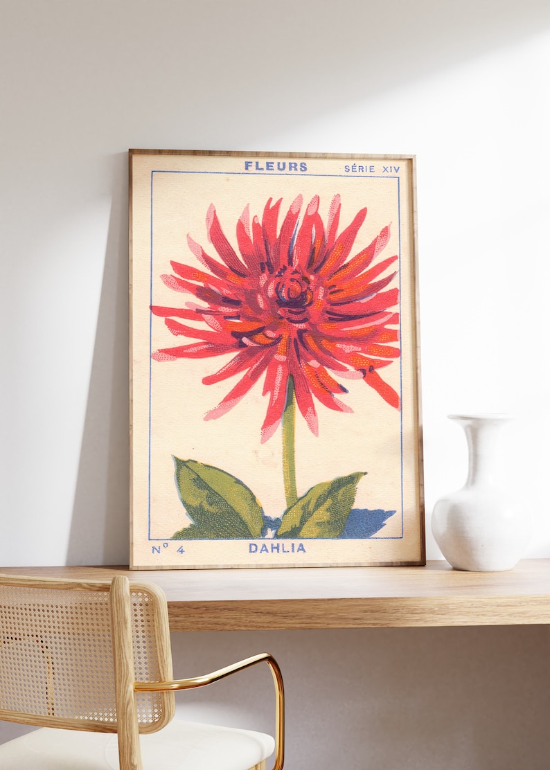 May include: Vintage botanical illustration of a red dahlia flower with green leaves. The print is framed and features the text "FLEURS SERIE XIV N&deg; 4 DAHLIA".