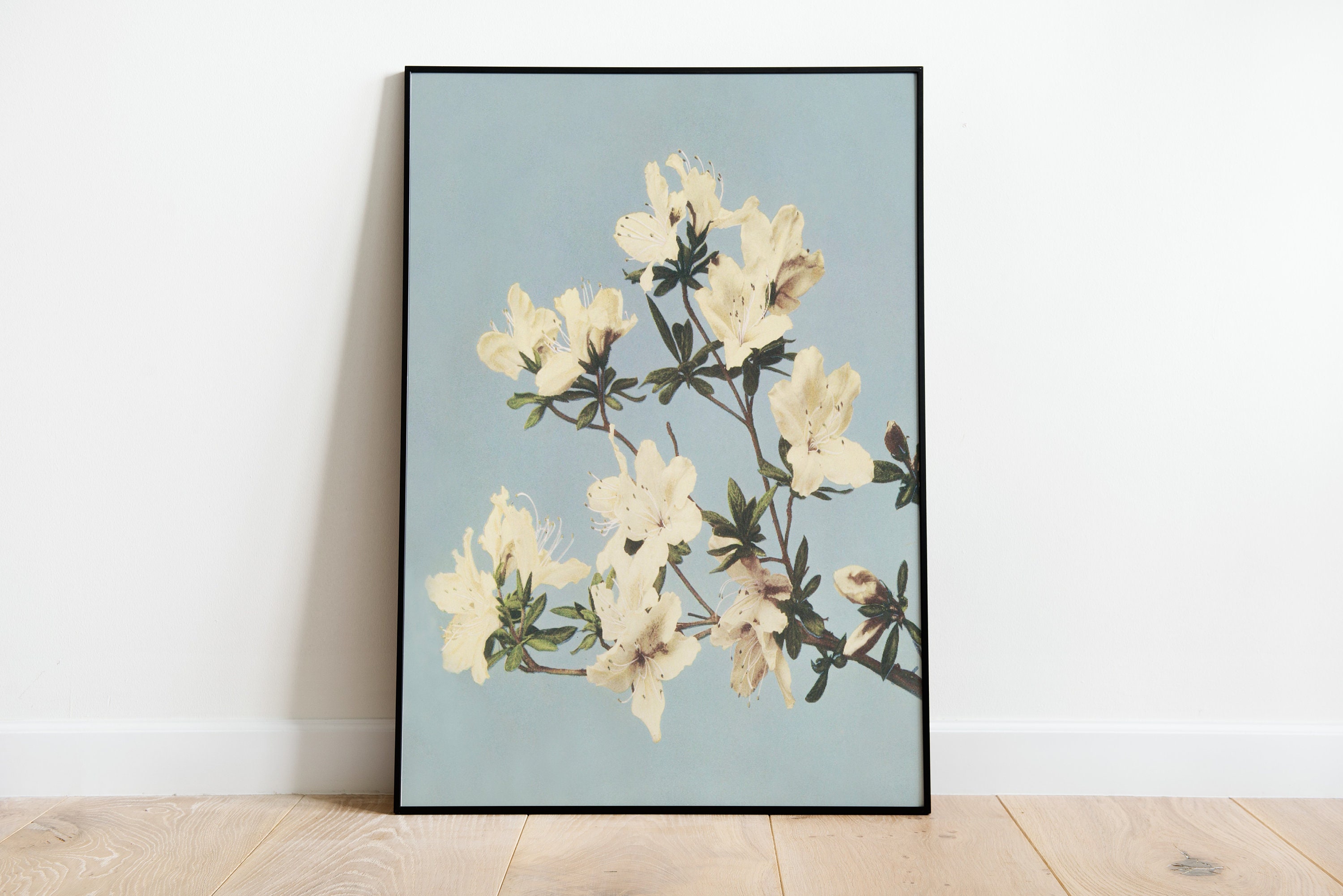 Vintage Japanese Azaleas Art Deco Print, Floral Botanical Poster - Etsy