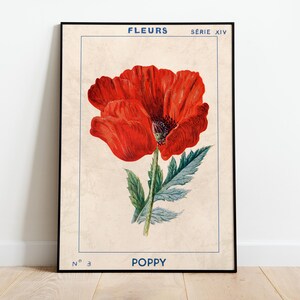 May include: A vintage botanical illustration of a red poppy flower with green leaves. The image is titled "FLEURS SERIE XIV N&deg; 3 POPPY".
