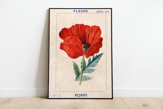 Fleurs Vintage Print, Poppy Floral Poster, Botanical Print, Large Wall Art,  Home Decor Botanical Print, Science Poster TNF - Living Room