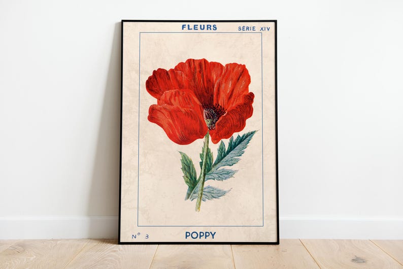 May include: A vintage botanical illustration of a red poppy flower with green leaves. The image is titled "FLEURS SERIE XIV N&deg; 3 POPPY".