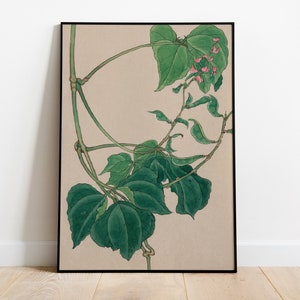 May include: A framed botanical illustration of a vine with green leaves and pink flowers. The vine is depicted in a realistic style, with delicate details of the leaves and flowers.