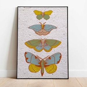 Butterflies Collection Vintage Poster, Art Deco, Vintage Print, Colorful Wall Art, Large Wall Art Print, Decor, Retro Butterfly Poster