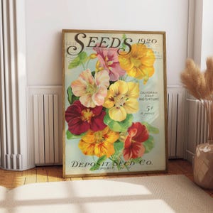 Vintage Seeds Floral Print, Postcard California Giant Nasturtium 1920 Poster, Floral Wall Art, Retro Flower, Large Wall Art, Botanical Print