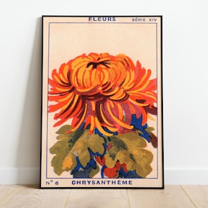 Vintage Chrysanthemums Poster, Fleurs Art Deco, Vintage Print, Colorful Wall Art, Large Wall Art Print, Decor, Retro Poster, Vintage Poster