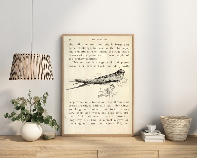 May include: A vintage book page with a black and white illustration of a swallow bird. The text on the page reads "The Swallow" and describes the bird's physical characteristics and habits.