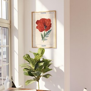 May include: A vintage botanical illustration of a red poppy flower with green leaves and stems. The illustration is framed and has the text "FLEURS SERIE A/V POPPY" printed below the image.