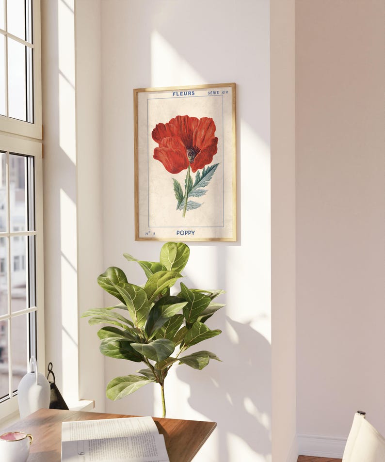 May include: A vintage botanical illustration of a red poppy flower with green leaves and stems. The illustration is framed and has the text "FLEURS SERIE A/V POPPY" printed below the image.