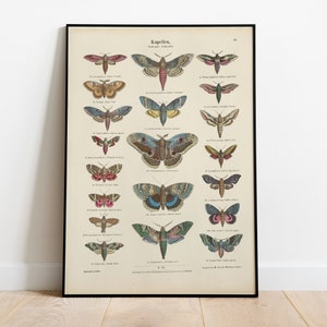 Butterflies Vintage Poster, Art Deco, Vintage Print, Colorful Wall Art, Large Wall Art Print, Butterflies Room Decor, Retro Butterfly Poster