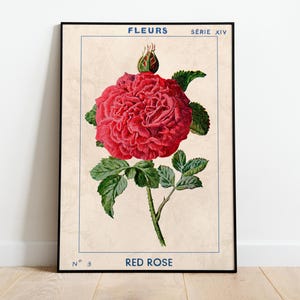 Fleurs Vintage Print, Red Rose Floral Poster, Botanical Print, Large Wall Art,  Home Decor Botanical Print, Science Poster TNF - Living Room