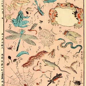 May include: A vintage Japanese woodblock print depicting various insects and animals, including a frog, dragonfly, grasshopper, and a spider web. The print is on a pink background with black and white text in Japanese.
