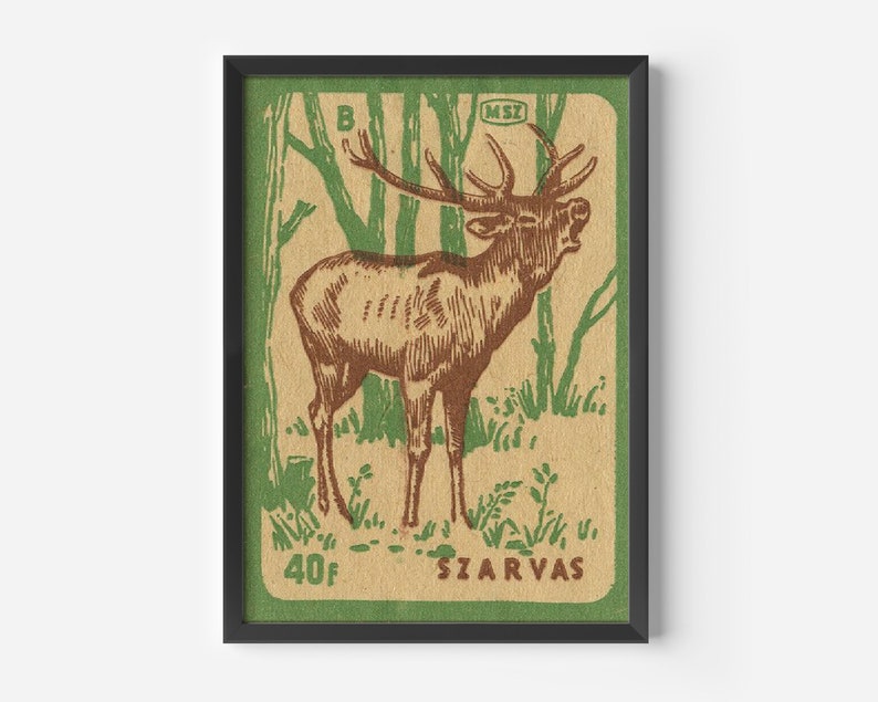 Vintage hjort tändsticksasktryck, ungersk renkonst bild 2