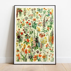 Vintage Flowers Drawing by Adolphe Millot, Floral Print, Botanical Poster, Flower Art Poster, Flower Chart, Wildflower Lover Gift