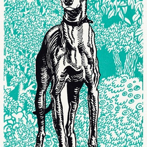 May include: Black and white illustration of a dog standing in front of a teal green background with a leafy pattern. The dog has a long snout and large ears.