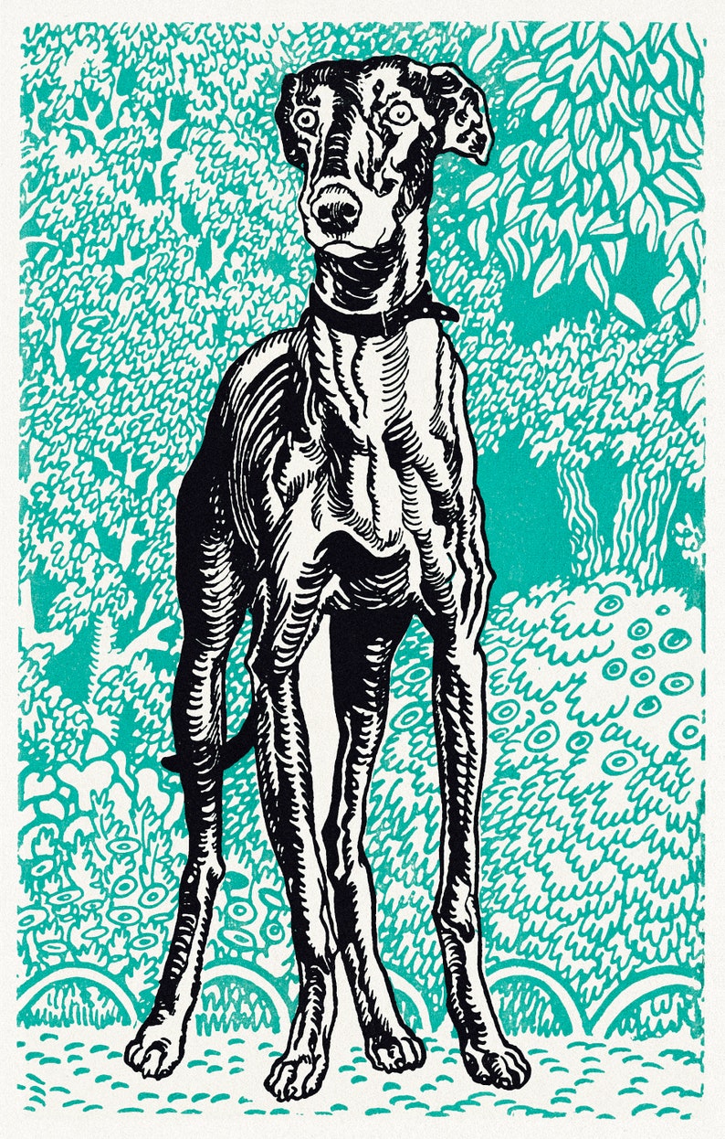 May include: Black and white illustration of a dog standing in front of a teal green background with a leafy pattern. The dog has a long snout and large ears.