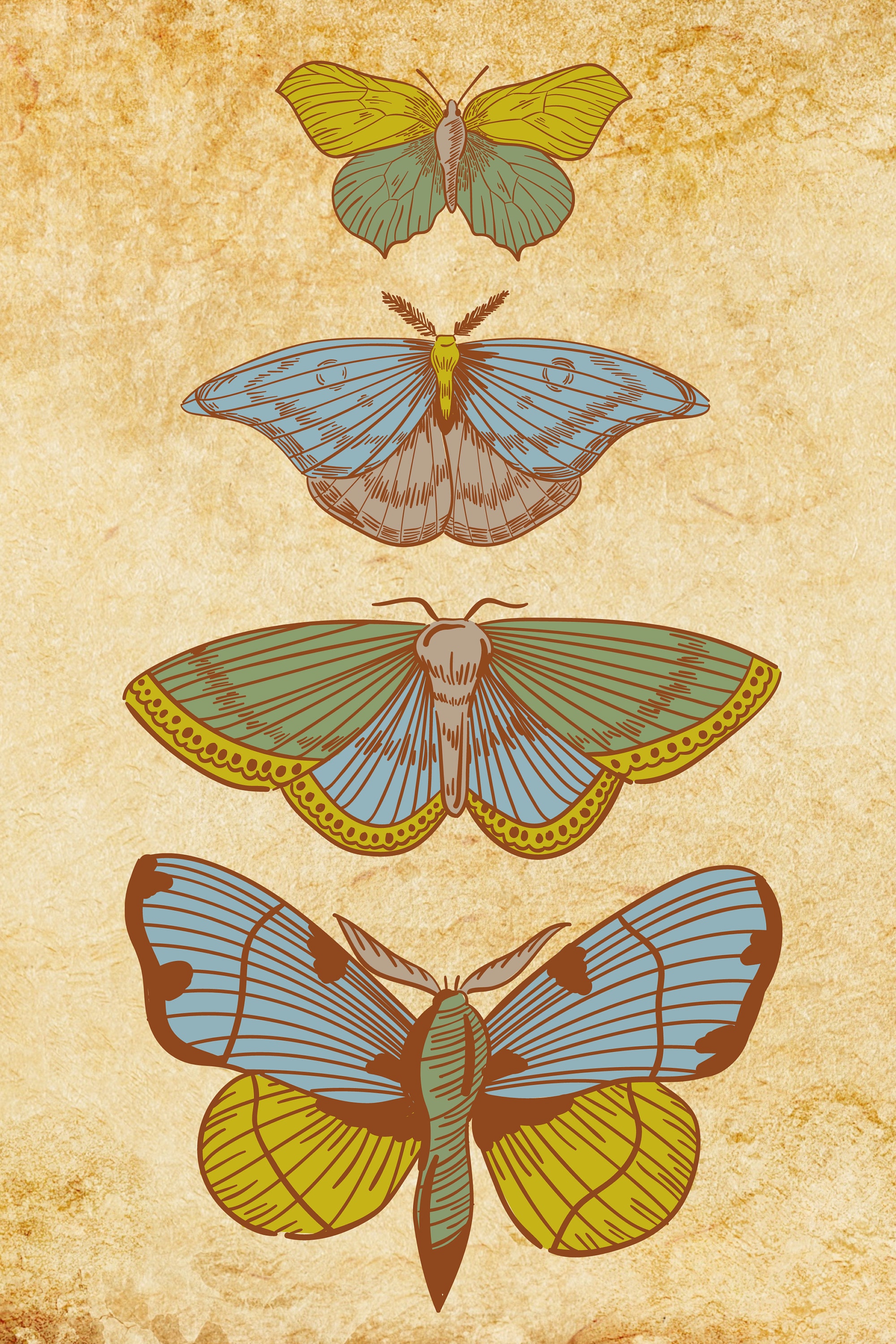 Art Deco Butterfly Print, Vintage Poster, Colorful Wall Art - Etsy