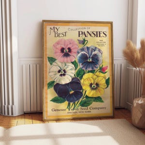 Vintage Seeds Pansies Floral Print, Postcard Pansies Poster, Floral Wall Art, Retro Flower, Large Wall Art, Botanical Print, Flower Bouquet