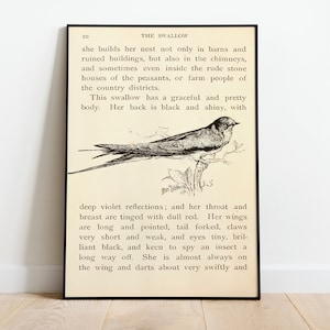 Vintage Swallow Book Print, Birds Poster, Soft Color Swallow Wall Art, Bird Poster, Animal Wall Art, Room Decor, Nature Print, Illustration