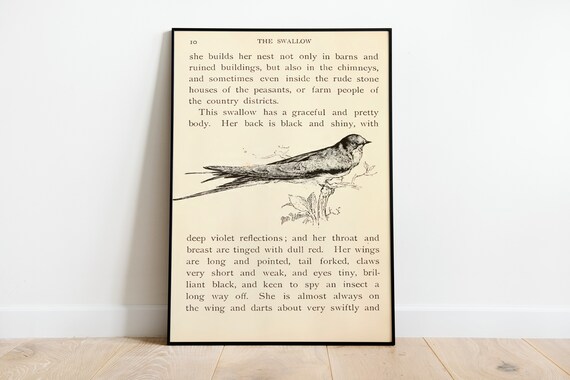 Vintage Swallow Book Print, Bird Wall Art Poster