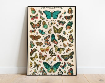 Natural History Butterflies Vintage Poster, Art Deco, Vintage Print, Colorful Wall Art, Large Wall Art Print, Decor, Retro Butterfly Poster