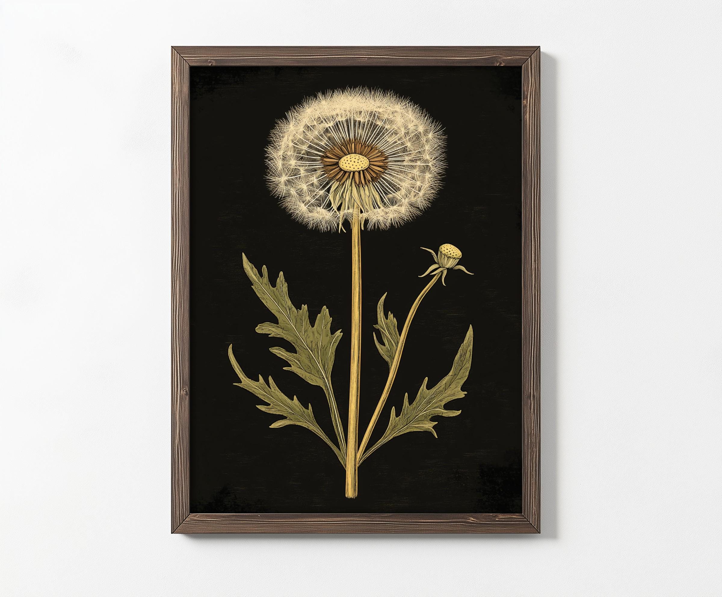 Vintage Dandelion Print, Dark Academia Wall Art, Farmhouse Decor - Etsy