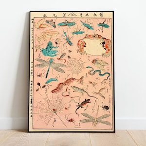 May include: A vintage Japanese illustration of various insects and amphibians, including a large toad, dragonflies, and a spider web. The illustration is printed on a pink background and framed in black.