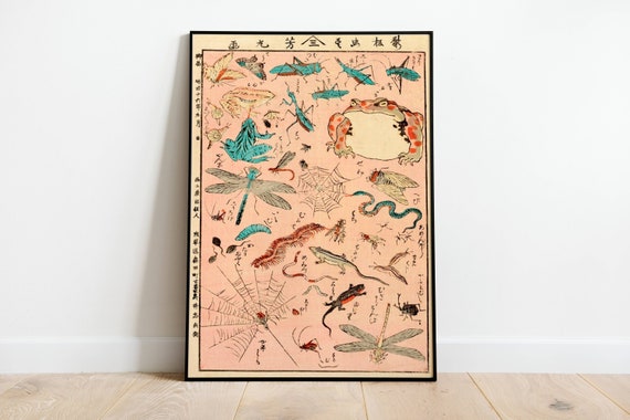 Japanesse Frog And Insects Poster, Art Deco, Vintage Print, Colorful Wall Art, Large Wall Art Print, Decor, Retro Poster, Amphibious Print