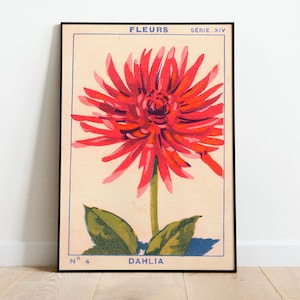 Fleurs Vintage Print, Cartel floral, Impresión botánica, Arte de pared grande, Impresión botánica de decoración del hogar, Cartel científico TNF - Sala de estar