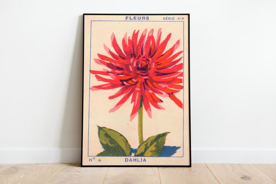 Fleurs Vintage Print, Floral Poster, Botanical Print, Large Wall Art,  Home Decor Botanical Print, Science Poster TNF - Living Room