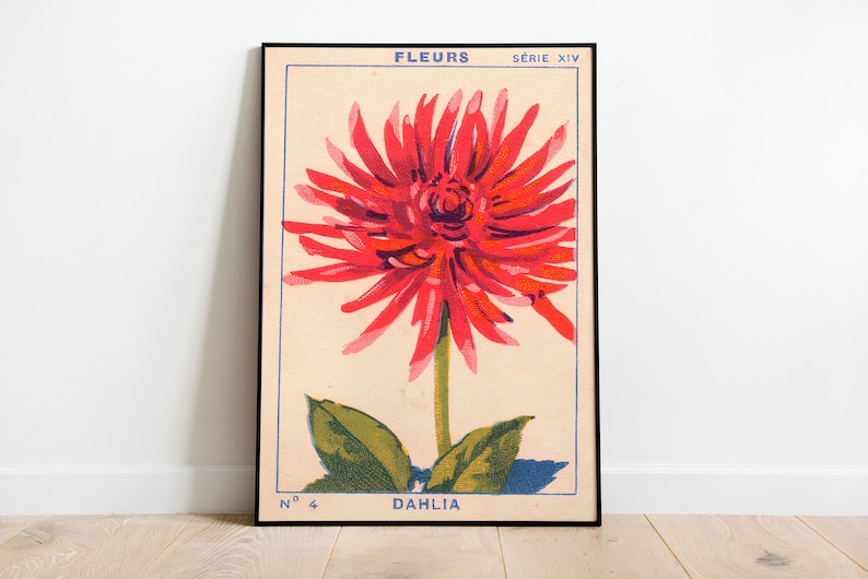 May include: Vintage botanical illustration of a red dahlia flower with green leaves. The print is framed in black and features the text "FLEURS SERIE XIV N&deg; 4 DAHLIA".