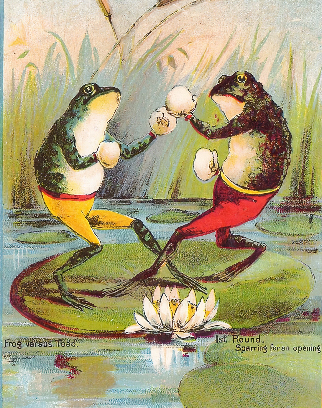 Funny Frog Vs Toad Boxing Art Deco Poster, Vintage Print - Etsy