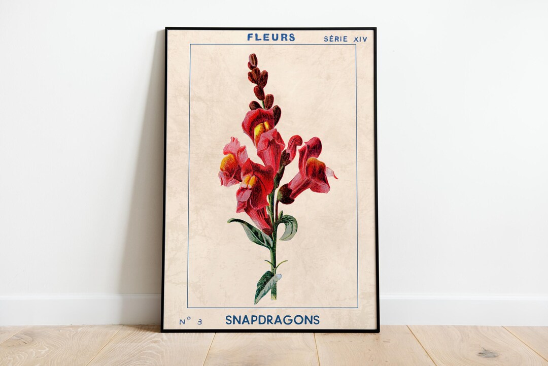 Vintage Snapdragon Print, Botanical Fleurs Poster, Large Wall Art