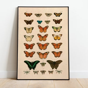 Butterflies Vintage Poster, Art Deco, Vintage Print, Colorful Wall Art, Large Wall Art Print, Butterflies Room Decor, Retro Butterfly Poster