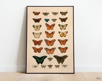 Butterflies Vintage Poster, Art Deco, Vintage Print, Colorful Wall Art, Large Wall Art Print, Butterflies Room Decor, Retro Butterfly Poster