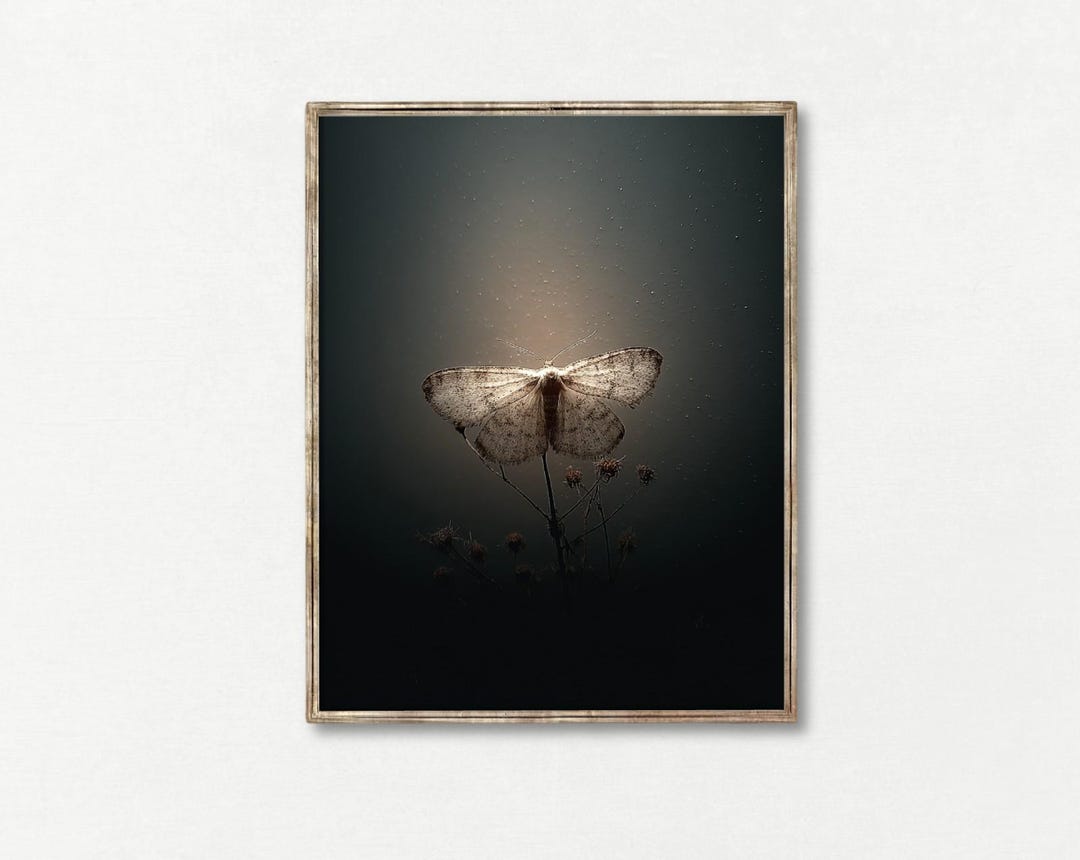 Vintage Moth Print, Moody Botanical Wall Art, Dark Academia Decor - Etsy