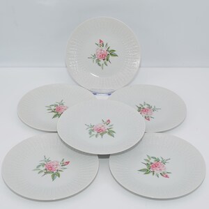 Hutschenreuther 花柄皿 6枚セット Hutschenreuther 花柄皿 6枚セット - メルカリ