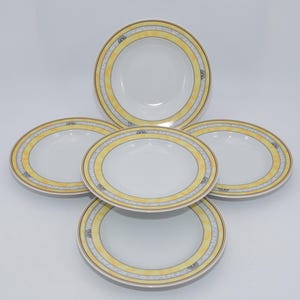 5 soup plates Tirschenreuth Diplomat Bouquet soup plates, deep plates Tirschenreuth Bouquet soup plates 5 pieces