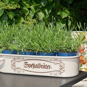 Könnte beinhalten: Eine cremefarbene, rechteckige Pflanzschale mit dem deutschen Wort "Spezialbräter" in brauner Schrift, gefüllt mit kleinen blauen Töpfen mit grünen Pflanzen. Die Schale hat Griffe und steht auf einem dunklen Tisch, mit einem floralen Stuhl im Hintergrund.