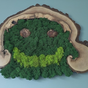 Peut inclure: Une décoration murale fantaisiste avec un visage fait de mousse verte et de bois. Le visage a deux yeux en pierre brune et un sourire vert citron. La mousse est fixée dans une tranche de bois avec un bord en écorce naturelle.