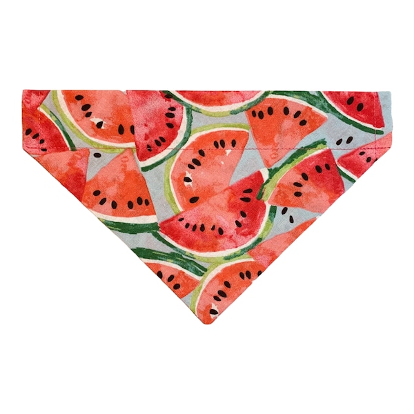 Watermelon Dog Bandana - Summer Dog Bandana - Over the Collar - Option to Personalize - Two-Sided - Watermelon Cat Bandana