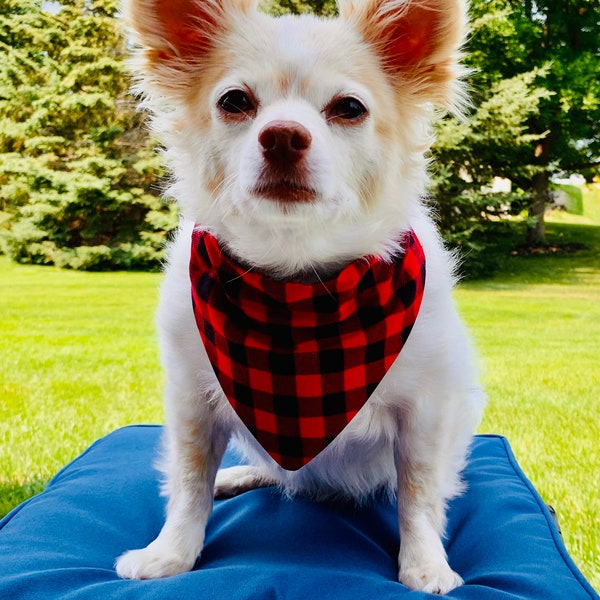 Dog Bandana - Lumberjack - Buffalo Check - Red and Black - Fall Plaid - Over the Collar - Option to Personalize - Two-Sided -  Cat Bandana