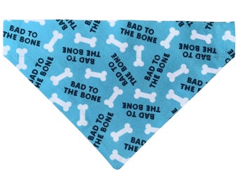 May include: A light blue dog bandana with a white bone pattern and the text "Bad to the Bone" repeated throughout.