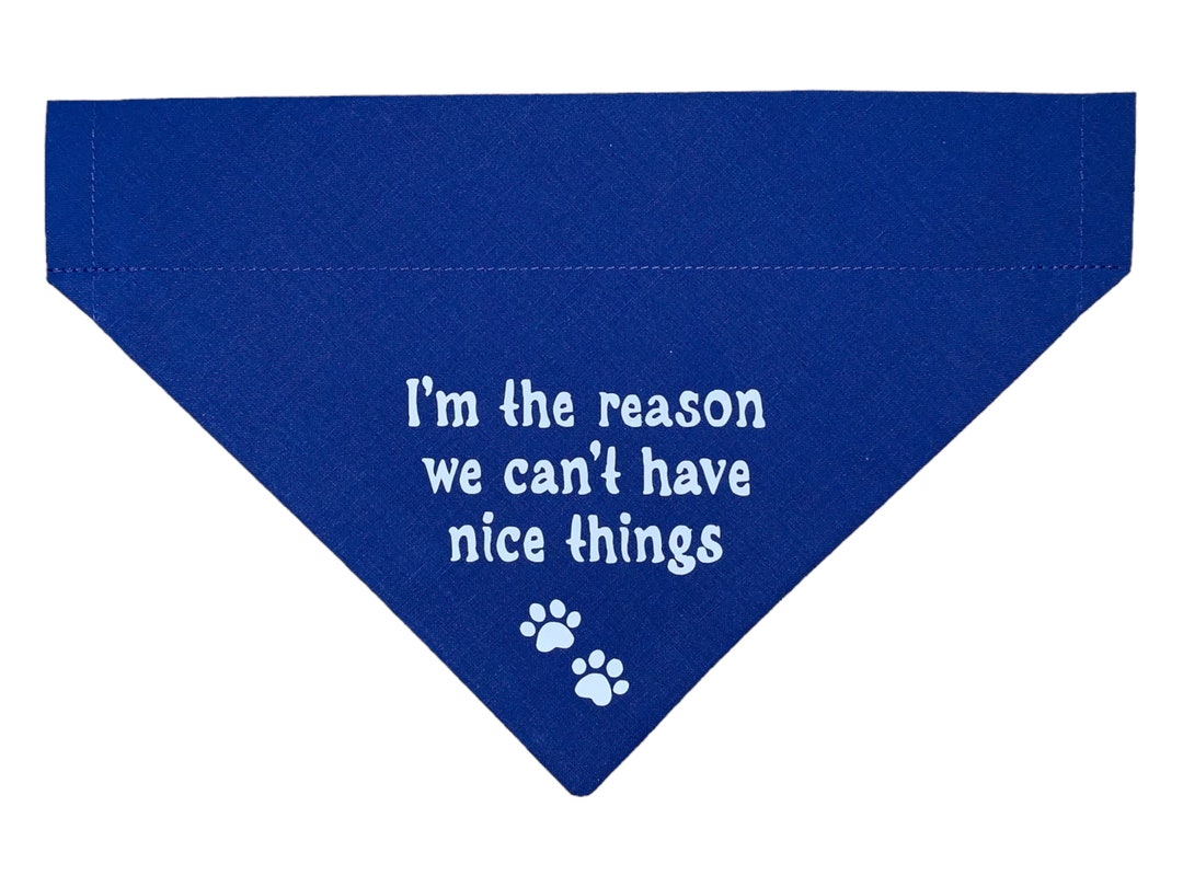 Dog Bandana Cant Have Nice Things Funny Dog Bandana Funny Saying Over