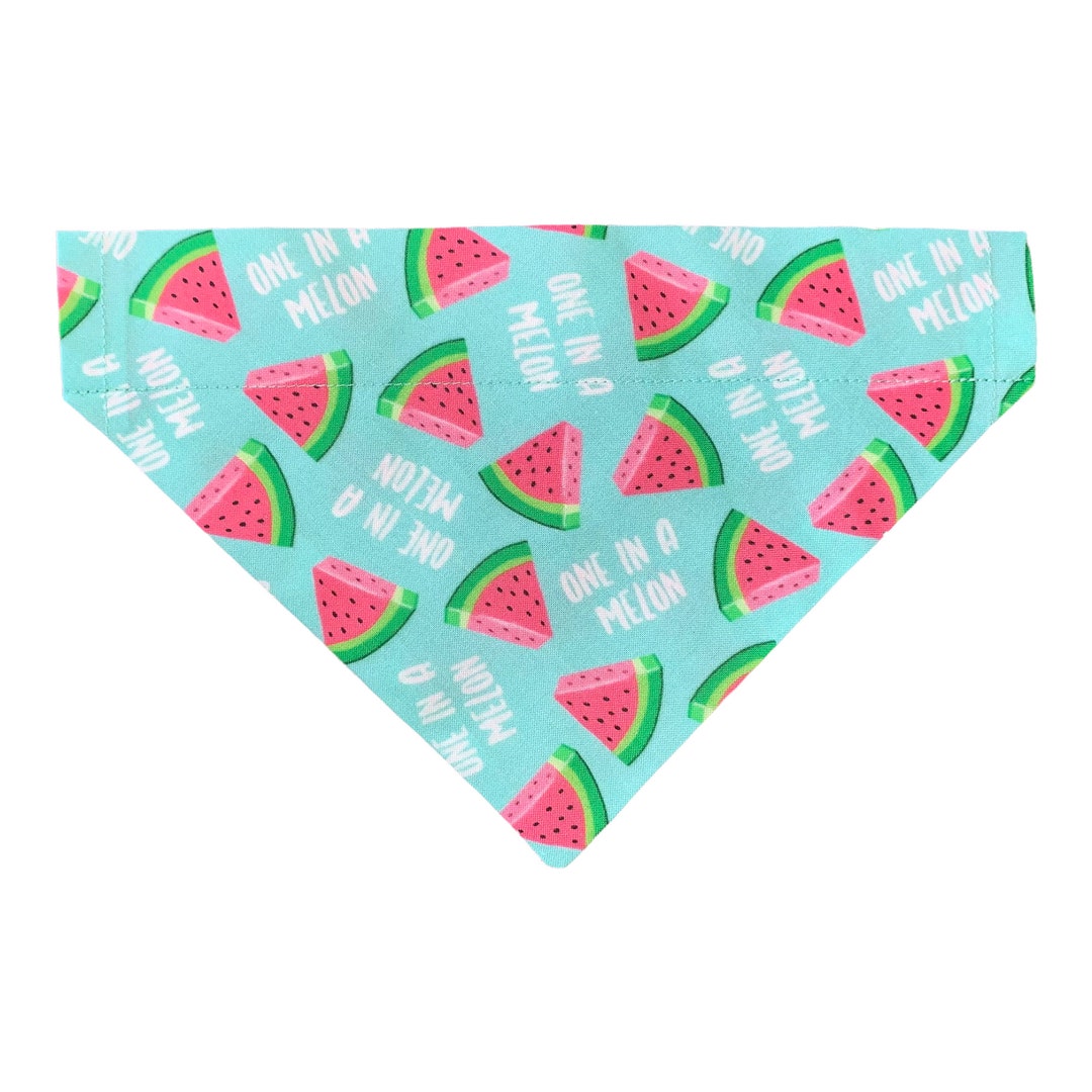 Watermelon Dog Bandana One in A Melon Dog Bandana Over the Collar