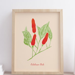 Calabrian Chili