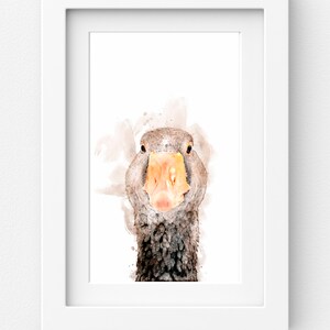 watercolour print Fox and bee Felix In a 14 x 11 mount. Printed directly onto watercolour paper