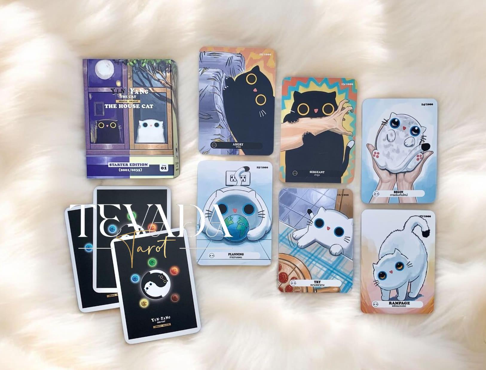Cat oracle deck - Etsy 日本