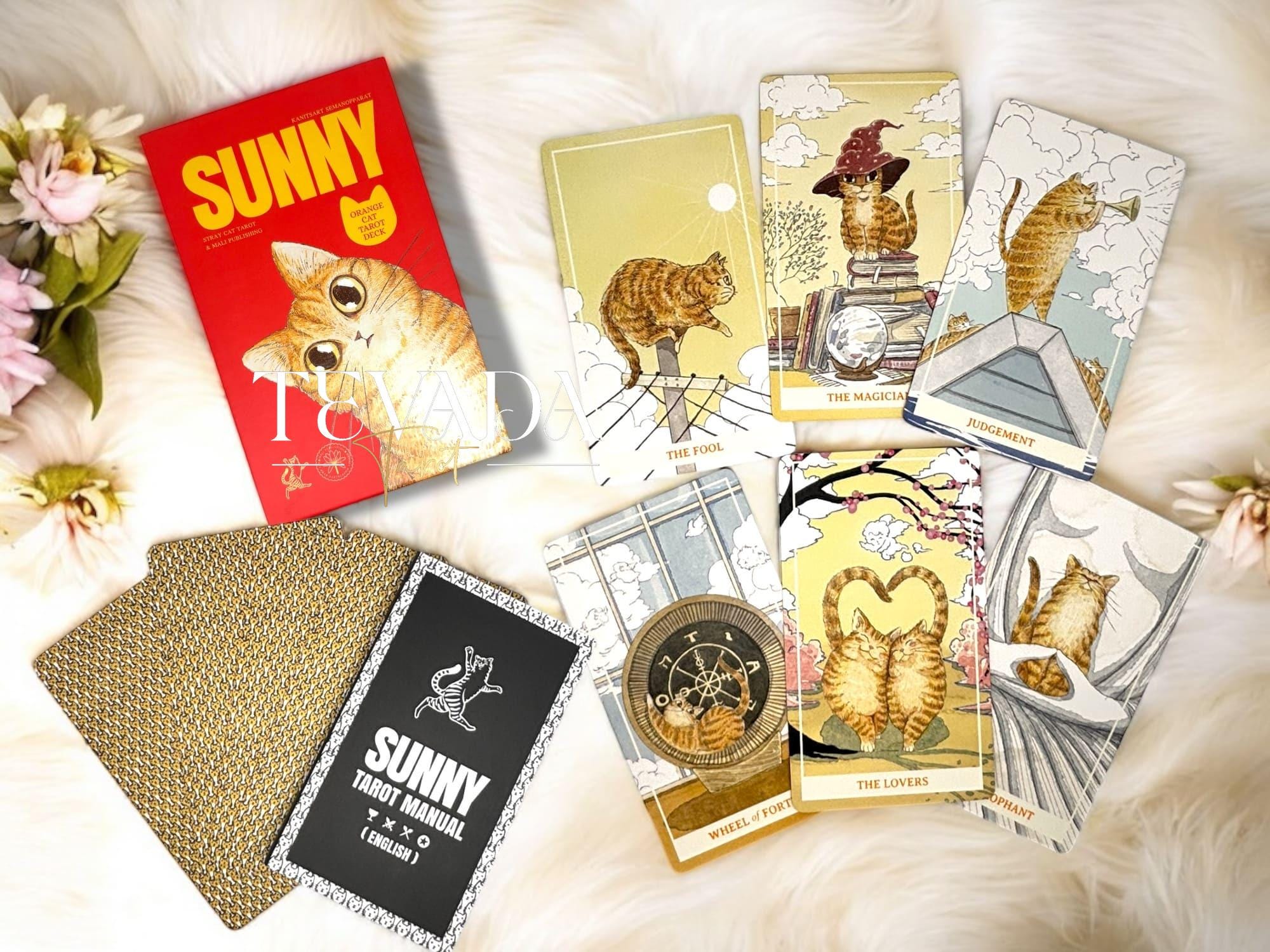 未開封 Whimsical Tarot Deck ウィムジカルタロット Whimsical Tarot Deck: Dorothy Morrison, Mary Hanson-Roberts