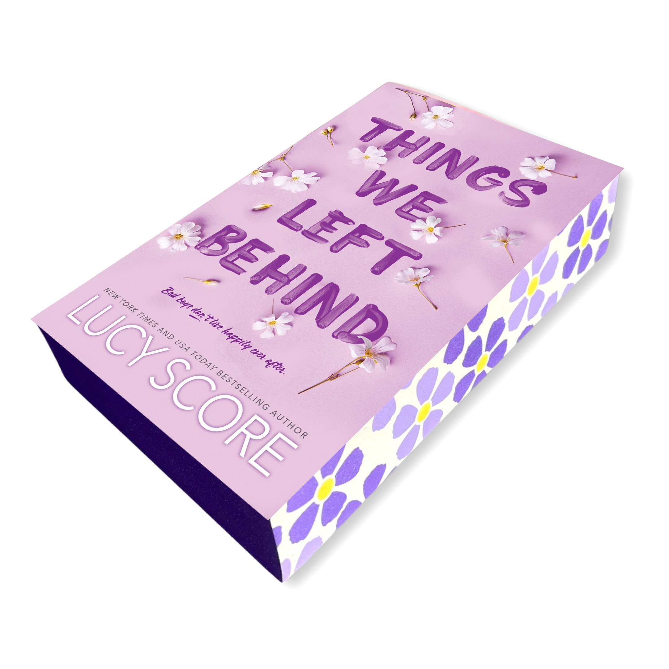 Things We Never Got Over by Lucy Score: FAQs + Books Like It