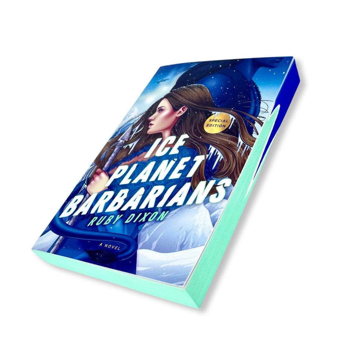 Ice Planet Barbarians Series Ruby Dixon Stenciled Sprayed - Etsy India